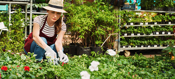 Landscape planting and design