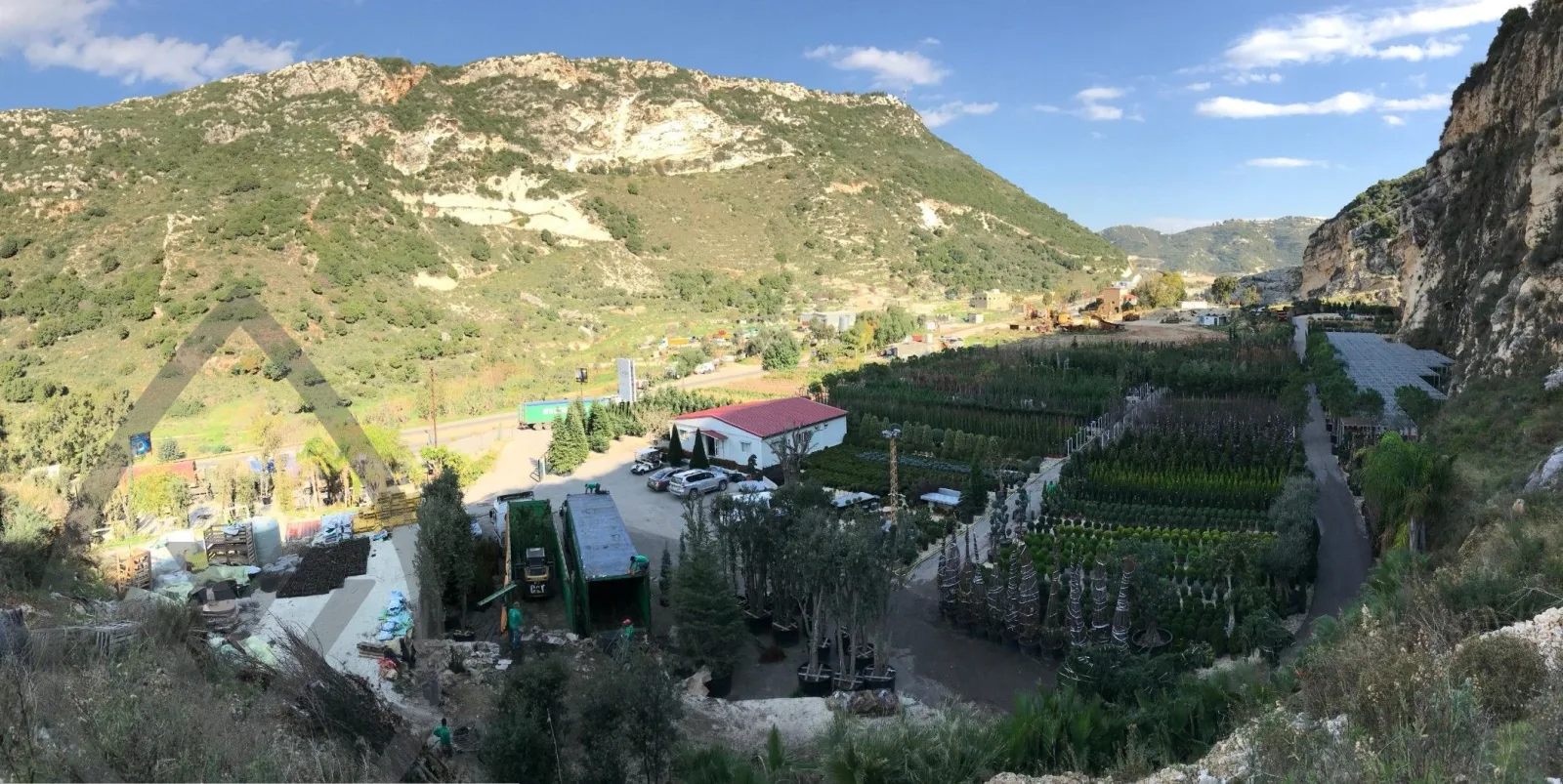 Wide view across the Vert Veine nursery in Batroun