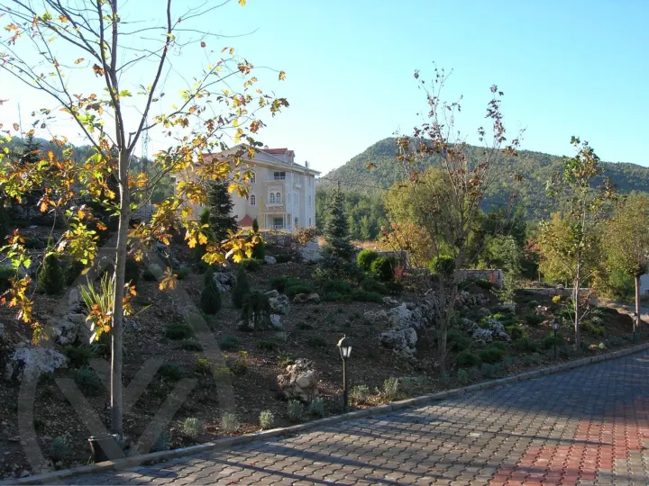 Gaze Landscape — image 2