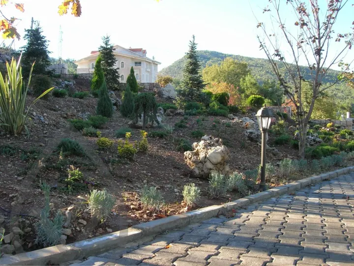 Gaze Landscape — image 5