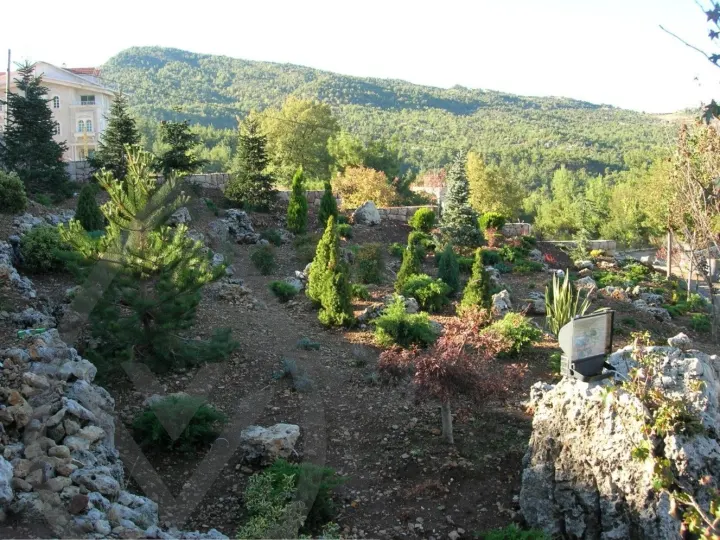 Gaze Landscape — image 6