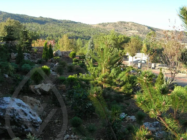 Gaze Landscape — image 8
