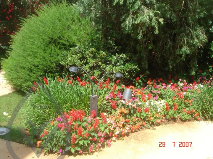 KSA Landscape Collection — image 3