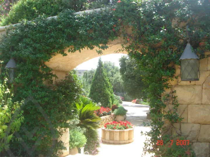KSA Landscape Collection — image 4