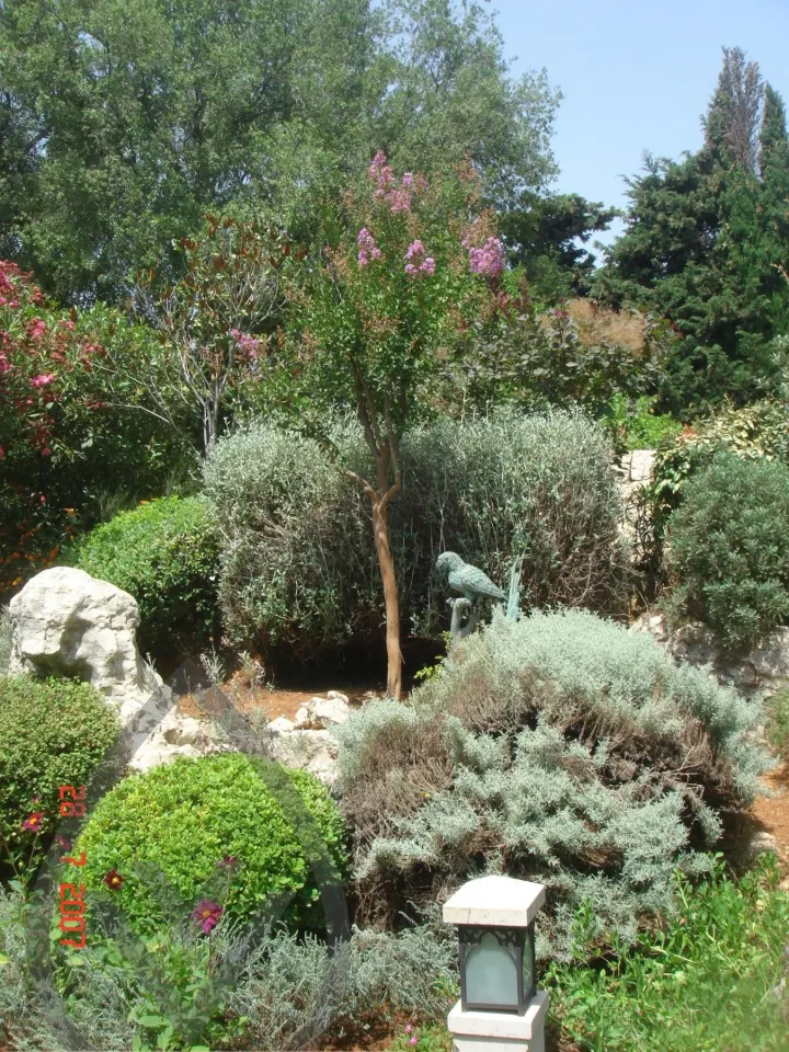 KSA Landscape Collection — image 6