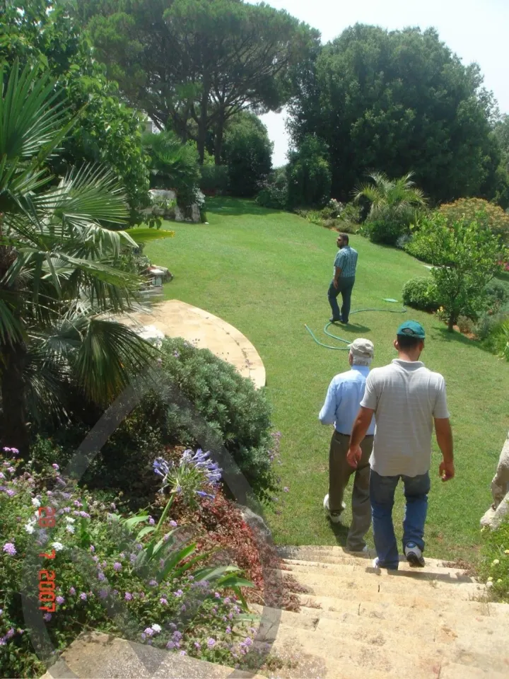 KSA Landscape Collection — image 8