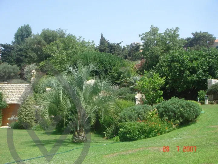 KSA Landscape Collection — image 13