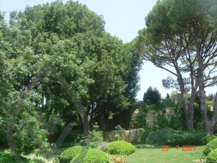 KSA Landscape Collection — image 19