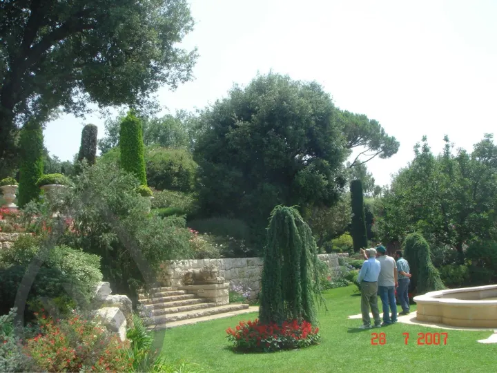 KSA Landscape Collection — image 22