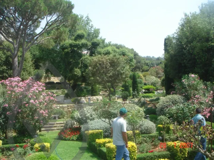 KSA Landscape Collection — image 26