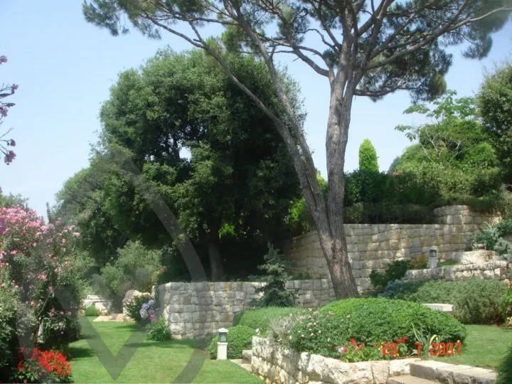 KSA Landscape Collection — image 27