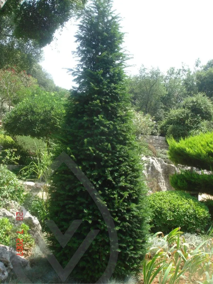 KSA Landscape Collection — image 28