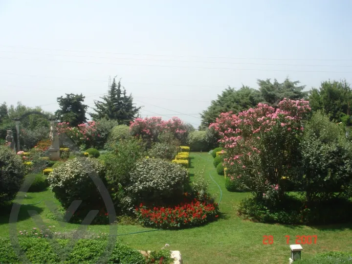 KSA Landscape Collection — image 29