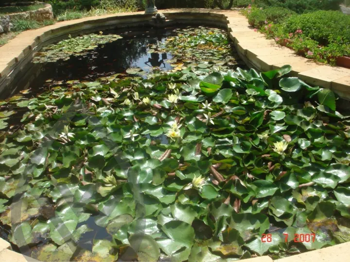 KSA Landscape Collection — image 31