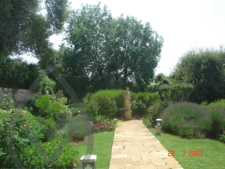 KSA Landscape Collection — image 39
