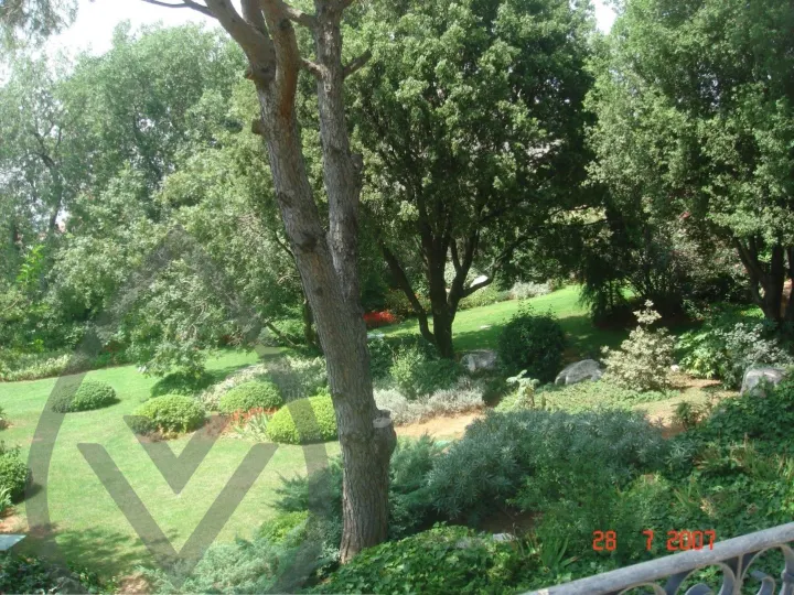 KSA Landscape Collection — image 44