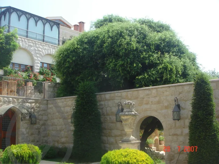 KSA Landscape Collection — image 49