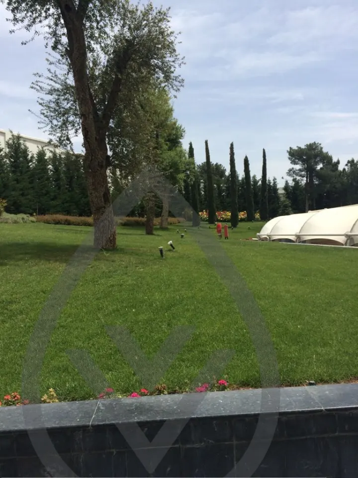 Landscape Portfolio — image 6