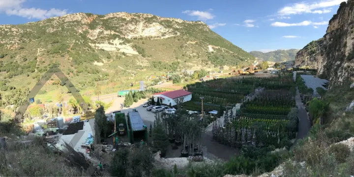 Batroun Nursery Collection