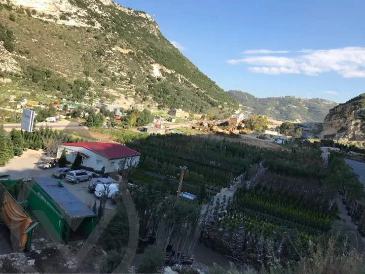 Batroun Nursery Collection — image 4