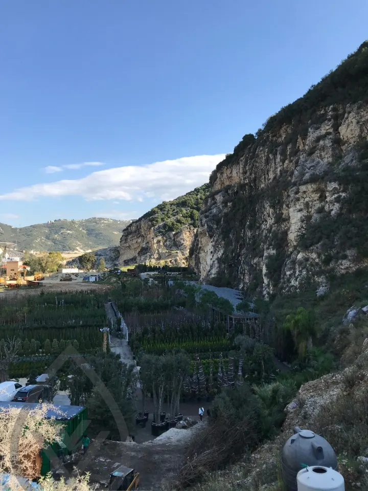 Batroun Nursery Collection — image 6