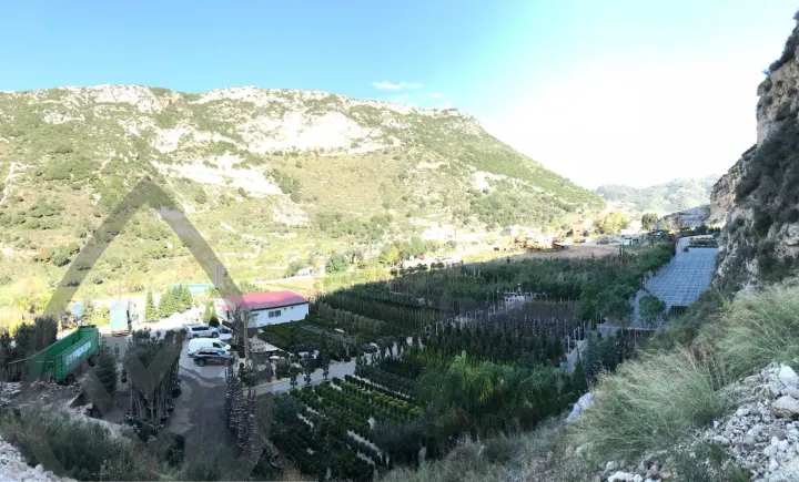 Batroun Nursery Collection — image 7