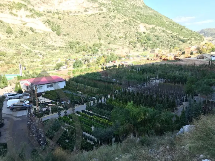 Batroun Nursery Collection — image 8