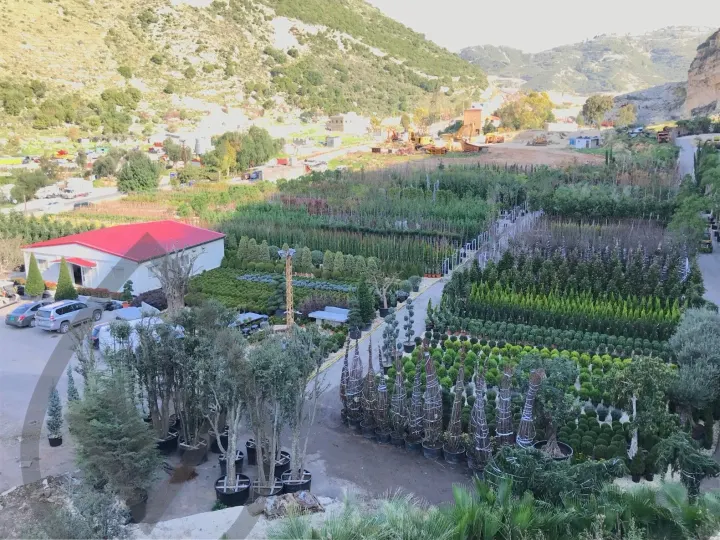 Batroun Nursery Collection — image 9