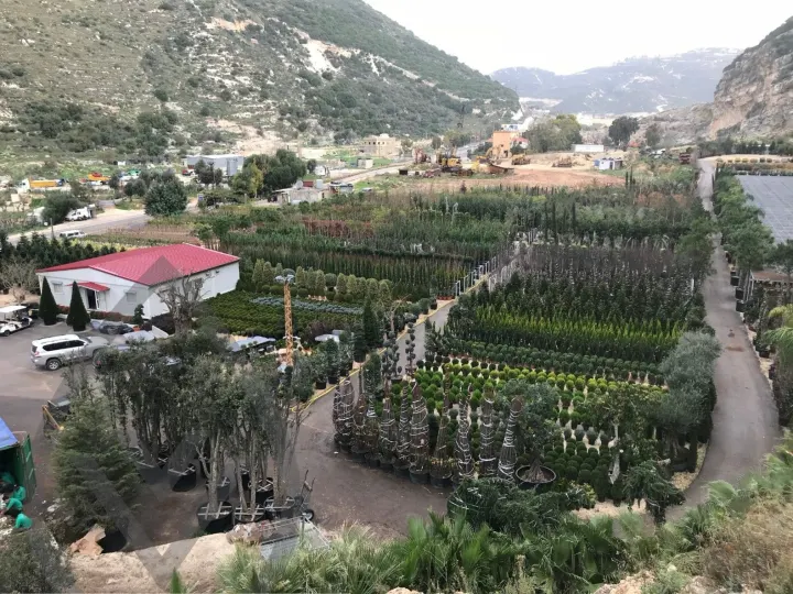Batroun Nursery Collection — image 16