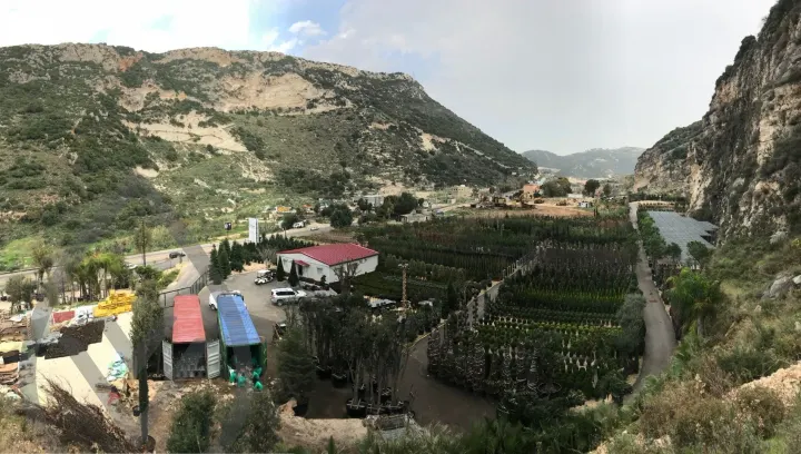 Batroun Nursery Collection — image 18